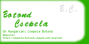 botond csepela business card